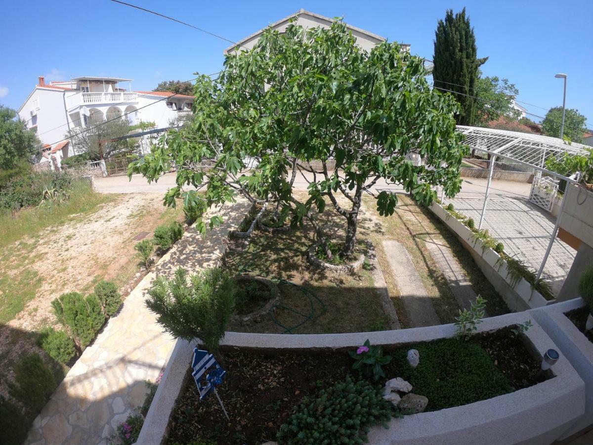 Apartments Delibasic Рогозница Екстериор снимка